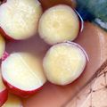 クックTHM5YF☆'s cooksnap of when they made 柚子とはちみつでさつま芋煮.