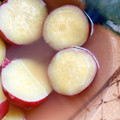 クックTHM5YF☆'s cooksnap of when they made 柚子とはちみつでさつま芋煮.