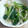 もるむ's cooksnap of when they made もやしと小松菜のにんにく和えナムル.