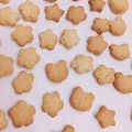 スチニャン's cooksnap of when they made ◇簡単！サクサク！キャロット・クッキー◇.