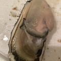 黒めんぼう's cooksnap of when they made わりと簡単☆牡蠣の殻の剥き方.