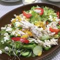 フジぽん's cooksnap of when they made フレッシュな夏野菜＆茹で鶏のサラダ.