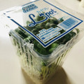 azbjbn's cooksnap of when they made 長持ち！かいわれ大根の冷蔵保存方法.