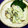 ちわここ's cooksnap of when they made タコのおろしきゅうりマヨ和え.