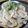 醤油☆世界一's cooksnap of when they made フライパンだけ☆簡単白滝クリームパスタ.