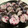 papikun's cooksnap of when they made 大葉としば漬けの巻き寿司.