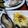 さいだぁ≡'s cooksnap of when they made 超簡単に牡蠣をぷっくりと圧力鍋で蒸す.