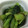 COOKVOC's cooksnap of when they made [レンジで]江戸菜の和え物　わさび風味.