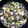 なお321's cooksnap of when they made 牡蠣とエリンギのアヒージョ.