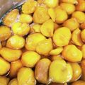 バザー's cooksnap of when they made 簡単『 栗の甘露煮と栗風味シロップ』.