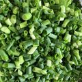 レディー・ババア's cooksnap of when they made くっ付かずパラパラ♫万能ネギの冷凍法♫.