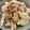 こうのとりヒロシ's cooksnap of when they made 豚バラとたまねぎのスゴだれ炒め.