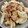 こうのとりヒロシ's cooksnap of when they made 豚バラとたまねぎのスゴだれ炒め.