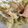 クック美月's cooksnap of when they made 作り置きも♪キャベツと厚揚げの煮浸し.