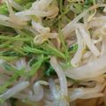 あゆたっくん's cooksnap of when they made 手作り簡単ドレッシング☆豆苗もやしサラダ.