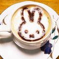 まゆー♪'s cooksnap of when they made 【オリジナル】ステンシルカプチーノ.