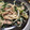 Sac’HiNa's cooksnap of when they made 節約＆簡単✿豚肉ともやしの野菜炒め✿.
