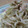 みるっきー's cooksnap of when they made もやしの中華風和え物.