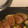 xpmjgda's cooksnap of when they made えのき餡のピーマンの肉詰め.