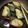 asupinya21's cooksnap of when they made ブリの照り焼き〇お弁当.
