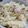 きのっぴぃ２号's cooksnap of when they made 炊き込み鶏ごぼう.