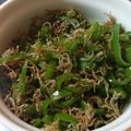 食いしん坊山ガール's cooksnap of when they made ピーマンとじゃこの炒め物.