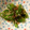 ベティ３'s cooksnap of when they made 超簡単！シンプルうちの無限ピーマン#簡単.