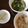 ちちょーん's cooksnap of when they made 離乳食後期♪ カレイと野菜の万能餡掛け☆.