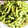 Ran6312's cooksnap of when they made 一番基本の簡単枝豆！.