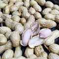 クックZKNQ8G☆'s cooksnap of when they made 超簡単！生落花生茹で方(生ピーナツ)塩味.