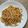 心葉ママ's cooksnap of when they made 赤エビの残った頭のトマトクリームパスタ.