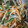 keiko154's cooksnap of when they made 豆苗とえのきのナムル.