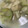 67luna's cooksnap of when they made 茄子と油揚げのお味噌汁.