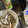 大阪のちゃーちゃん's cooksnap of when they made しめじと椎茸のバター炒め・きのこの副菜.
