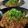 ｸﾏﾘｴ's cooksnap of when they made ボロネーゼ風稲庭うどん.