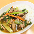 香都宮's cooksnap of when they made 多目的 豚肉と小松菜のオイスター炒め.