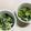 ☆yopipi's cooksnap of when they made おくらとキャベツのゴマおかか.