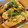 ☆ayumikan☆'s cooksnap of when they made ふっくらしっとり♥鮭ときのこのレンジ蒸し.
