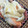 ＊ｈａｎａｃａｆｅ＊'s cooksnap of when they made 鮭の簡単マヨ焼き>゜))))彡　　　　.