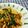 クックWZ3WQY☆'s cooksnap of when they made 豚キムチ豆腐.