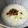 北京パンダ's cooksnap of when they made 簡単！残りご飯で＊カリカリ鶏皮の中華粥.