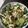 Jintomilk's cooksnap of when they made きゅうりと山芋の浅漬け、麺つゆで.