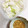 クックGB6431☆'s cooksnap of when they made ささみのレンジ蒸し.