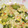 クック7NA4SM☆'s cooksnap of when they made 卵とカニカマで簡単！ゴーヤの中華炒め.