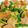 クックSV4QXZ☆'s cooksnap of when they made ウインナーとピーマンの卵炒め.