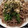 ☆hikonyan☆'s cooksnap of when they made 簡単＊冷やしたぬきそば＊.