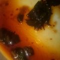 mmiwa's cooksnap of when they made 簡単☆大葉漬け.