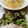 Kotop's cooksnap of when they made 【簡単しっとり】鶏ハムの作り方♪.