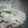 Apple_Home's cooksnap of when they made 簡単　塩鮭の蒸し物　とろろかけ.
