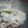 Apple_Home's cooksnap of when they made 簡単　塩鮭の蒸し物　とろろかけ.